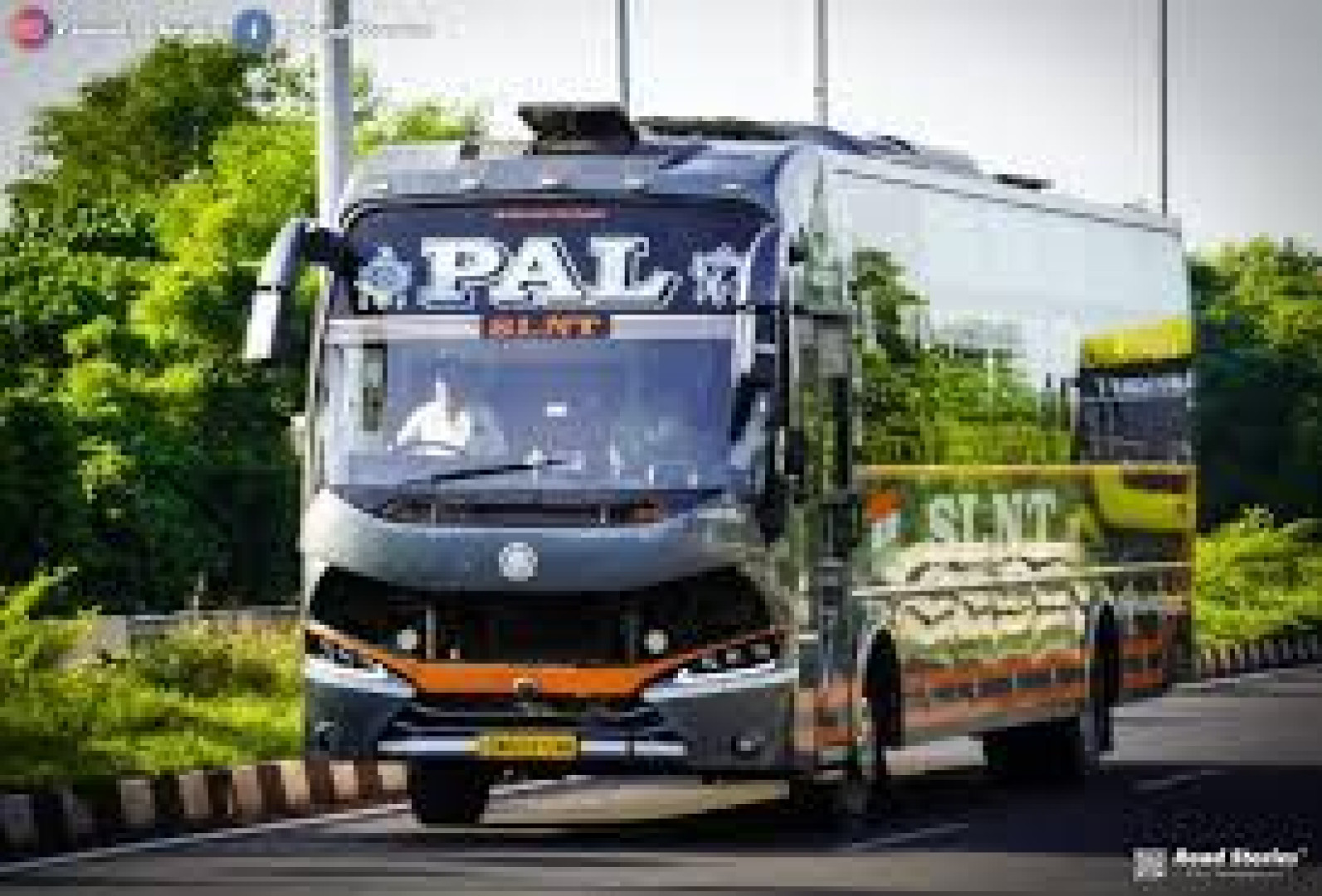 Pal Tour & Travels